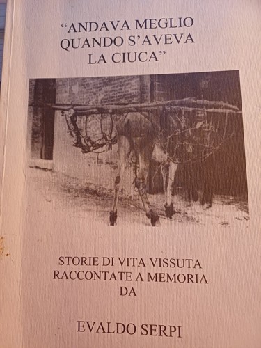 Andava meglio quando aveva - quando,